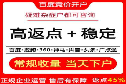 某行业领军企业的SEM广告投放策略